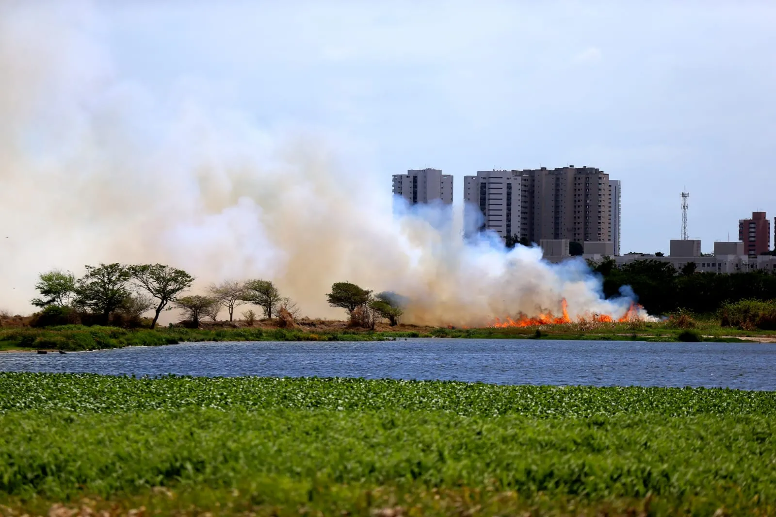 O fogo continua intenso dentro da área do Parque, na manhã desta quinta-feira (18).