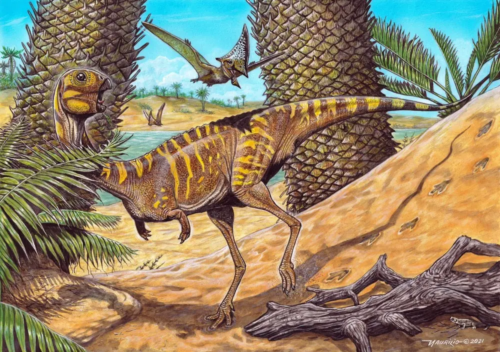 Imagem da notícia: Museu Nacional anuncia descoberta de nova espécie de dinossauro brasileiro