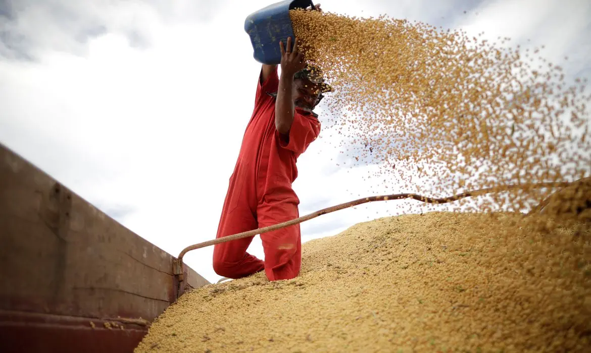 Imagem da notícia: Produção de soja no Ceará cresce com foco no mercado interno