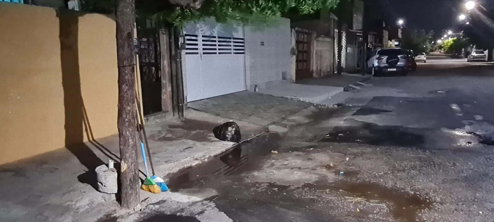 Imagem da notícia: Paciente renal fica em estado grave após ser atacado por pitbull ao chegar em casa em Fortaleza