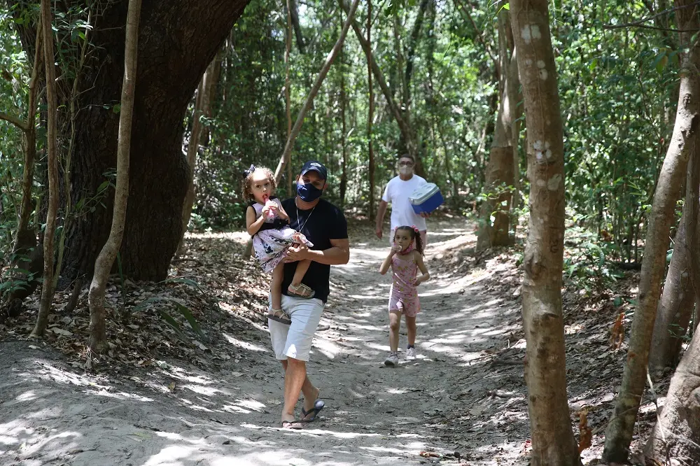 Parede de escalada, oficinas de plantas, distribuição de mudas e recreação infantil ao todo podem ser encontradas na Floresta do Curió