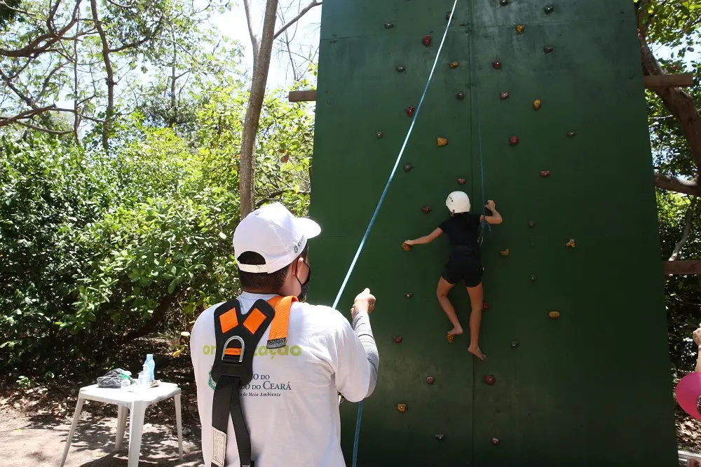 Parede de escalada, oficinas de plantas, distribuição de mudas e recreação infantil ao todo podem ser encontradas na Floresta do Curió