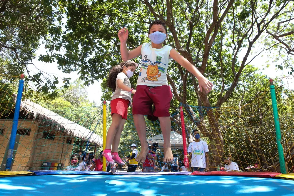 Parede de escalada, oficinas de plantas, distribuição de mudas e recreação infantil ao todo podem ser encontradas na Floresta do Curió