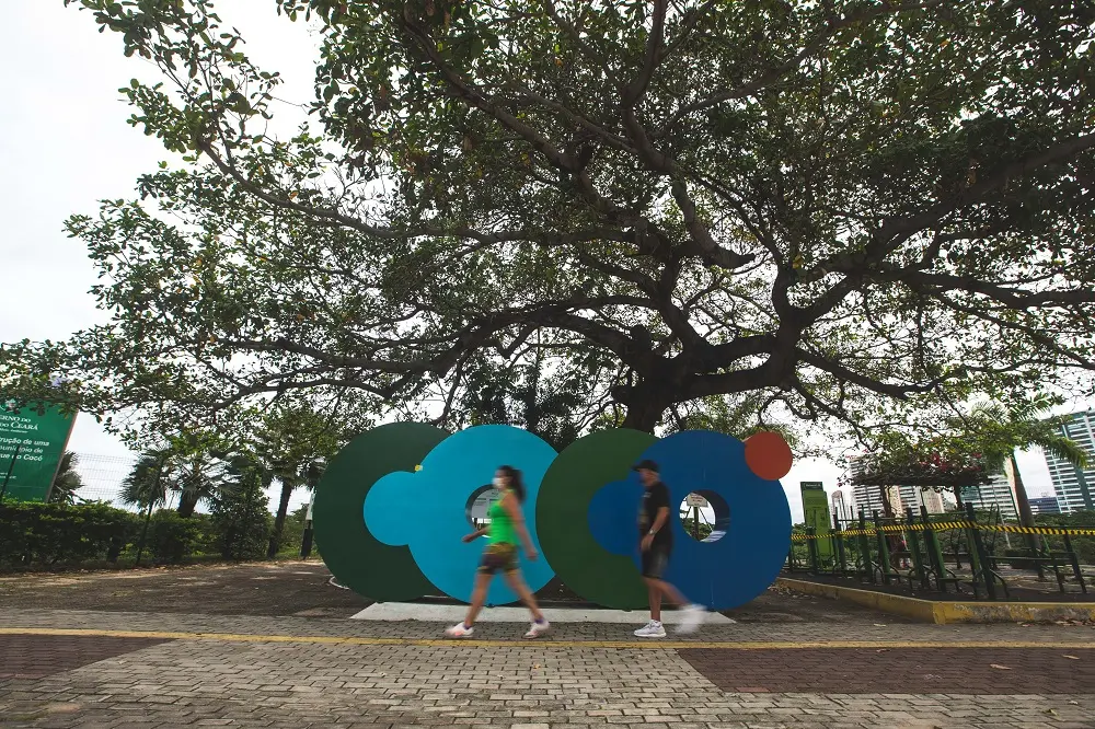 No anfiteatro do parque, por exemplo, é possível fazer um agradável encontro em total sintonia com a natureza