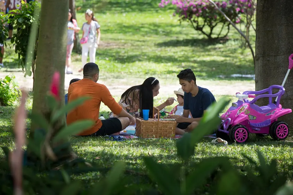 No anfiteatro do parque, por exemplo, é possível fazer um agradável encontro em total sintonia com a natureza