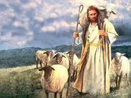 Imagem da notícia: Evangelho de hoje (Mt 8, 12-14)