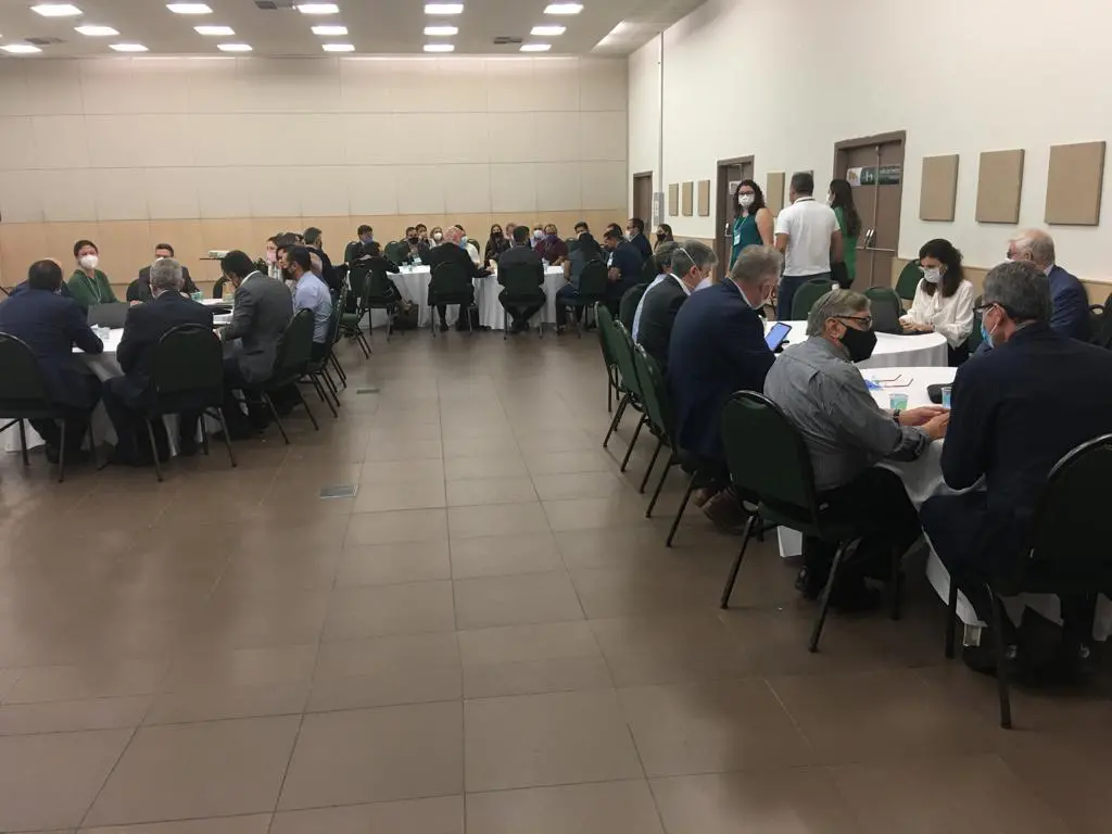 Imagem da notícia: Holandesa investirá US$ 2 bi para produzir amônia no Pecém