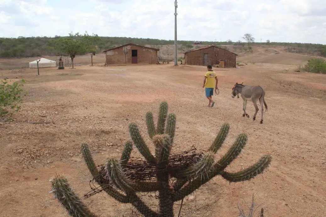 Imagem da notícia: Ceará entra na pré-estação chuvosa com déficit de 54 mil cisternas: 'Vivi 73 anos sem água encanada'