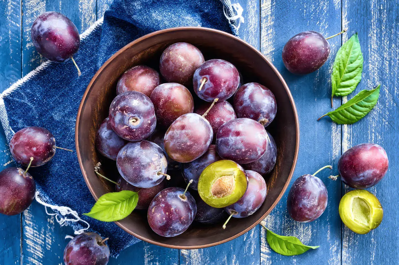 Imagem da notícia: Ameixa: conheça os benefícios da fruta para a saúde   
