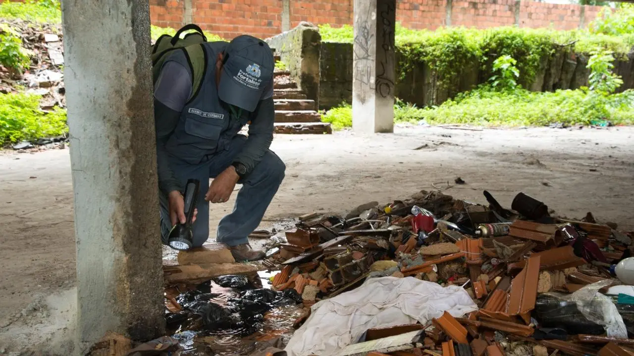 Imagem da notícia: Dengue, gripe e Covid: aumento de casos previsto para 2022 exige atenção a sintomas e testagem
