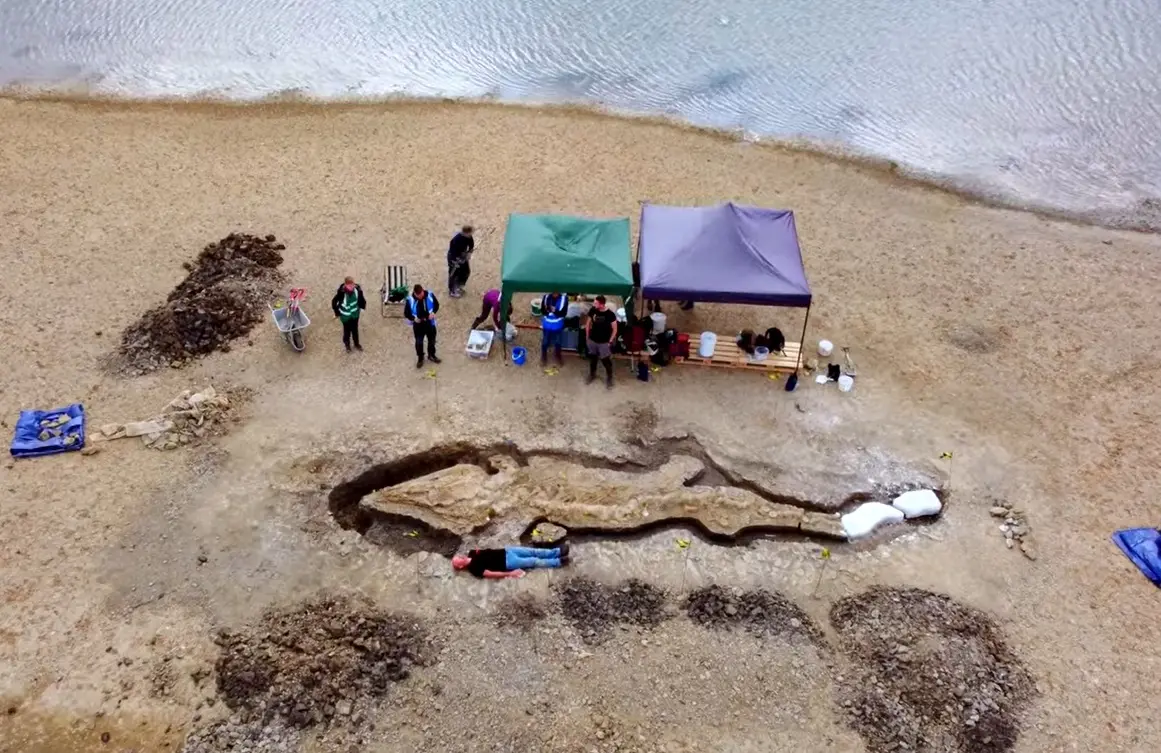 Imagem da notícia: Fóssil gigante de 'dragão do mar' de 180 milhões de anos é encontrado na Inglaterra