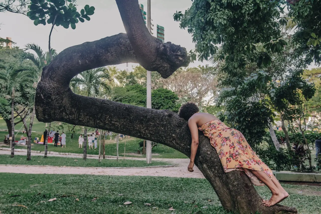 Escuta das Plantas. Performance (2018)