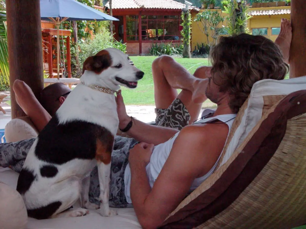 Imagem da notícia: Conheça os pets que já estiveram no BBB 