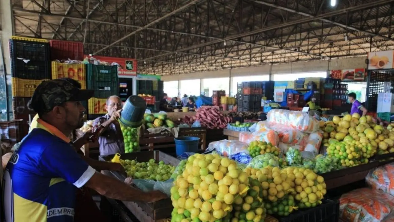 Imagem da notícia: Na Ceasa de Tianguá, produtores são esmagados por atravessadores