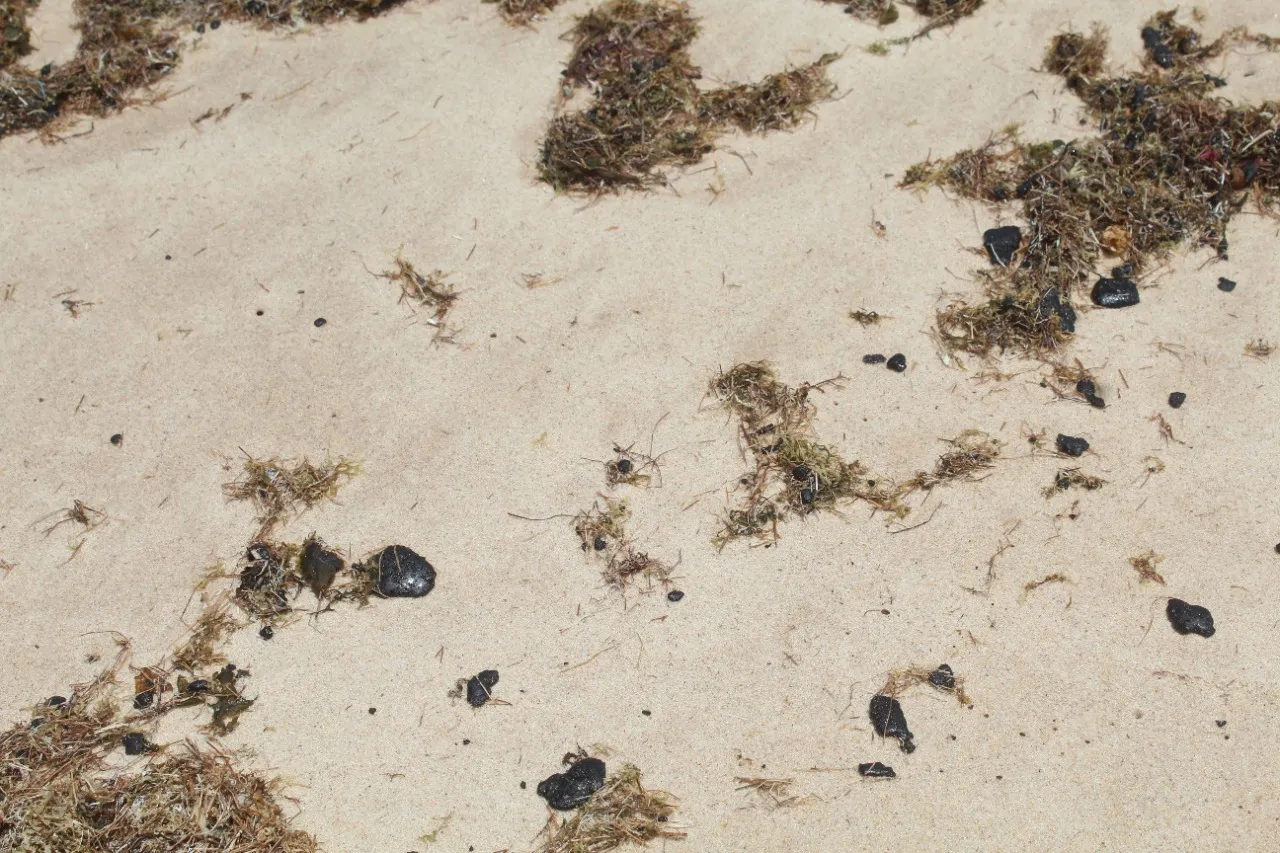 Fragmentos de piche foram encontrados na faixa de areia de pelo menos quatro praias de Aracati
