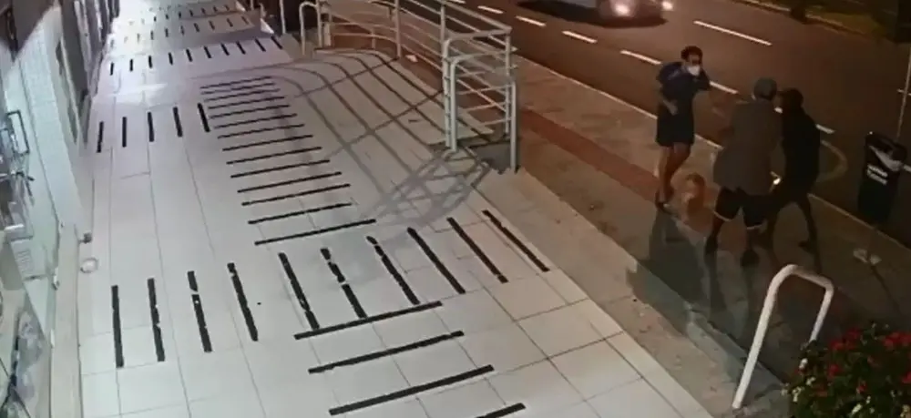 Imagem da notícia: Cão de raça é roubado de tutor durante caminhada em Florianópolis; veja vídeo