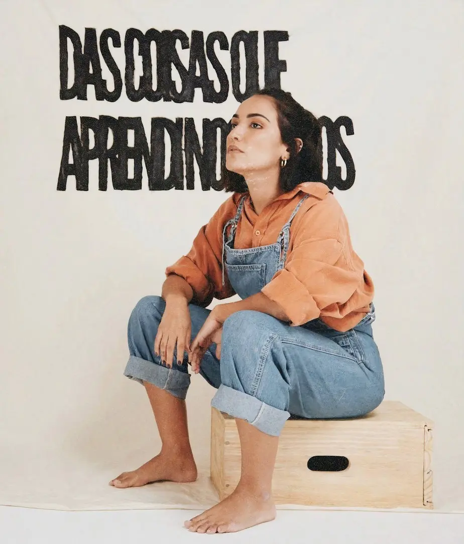 Vannick As Coisas que Aprendi nos Discos
