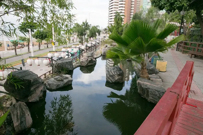 Imagem da notícia: Conheça opções de parques e jardins em Fortaleza para descansar e curtir a natureza