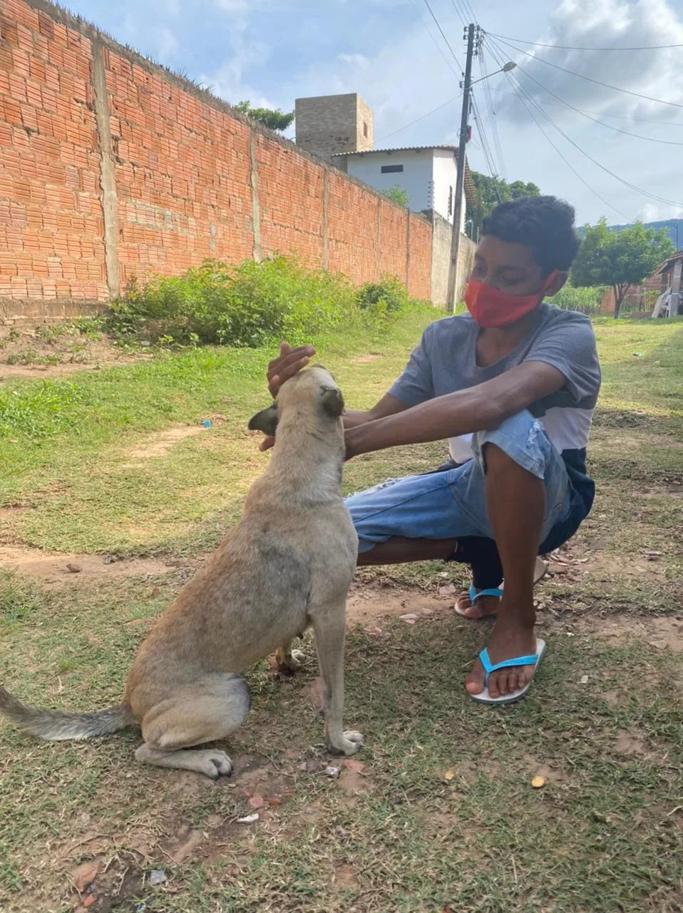 O vídeo também é uma denuncia o abandono de animais