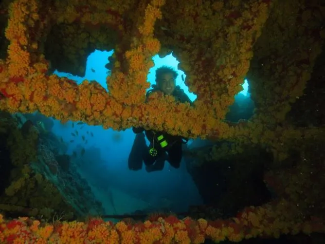 Mergulhador entre as estruturas do porão colonizados pelo Coral-sol