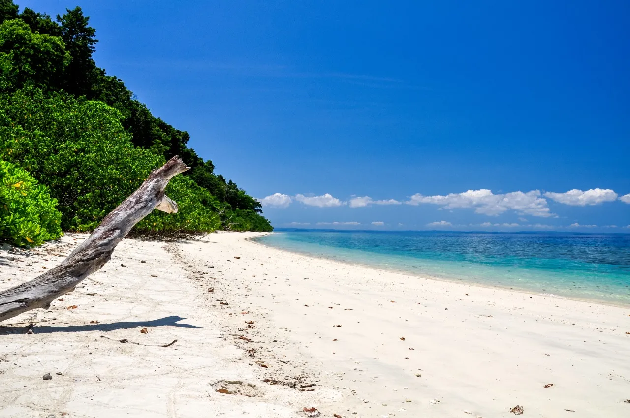 Praia de Radhanagar Beach em Havelock Island, Índia