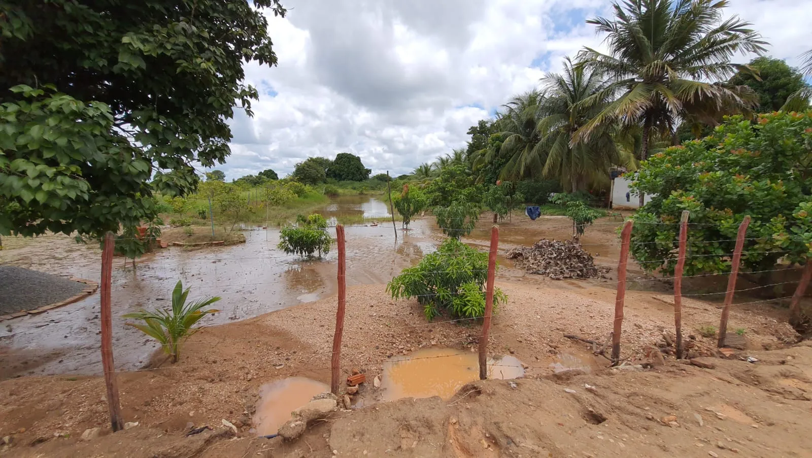 Agricultores relatam os prejuízos com as fortes chuvas