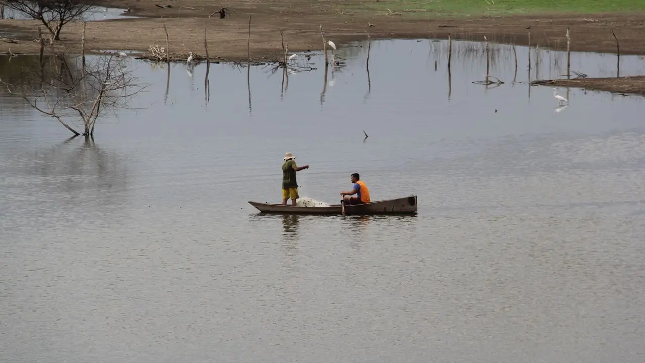Imagem da notícia: Faec quer dobrar PIB da agropecuária até 2032