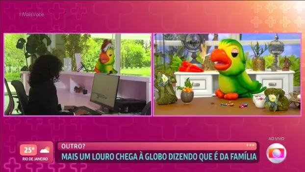 Imagem da notícia: Novo papagaio aparece de surpresa para Ana Maria no 'Mais Você' e deve fazer exame de DNA