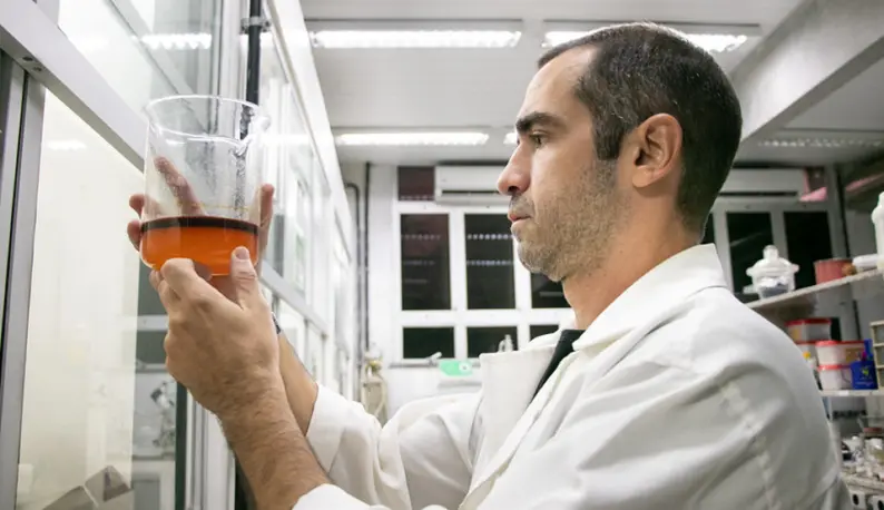 Imagem da notícia: Larvicida contra mosquito Aedes aegypti é criado com casca da castanha de caju por cientistas da UFC