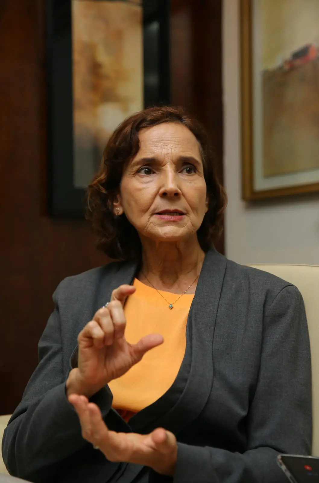 Imagem da notícia: Izolda Cela diz que é 