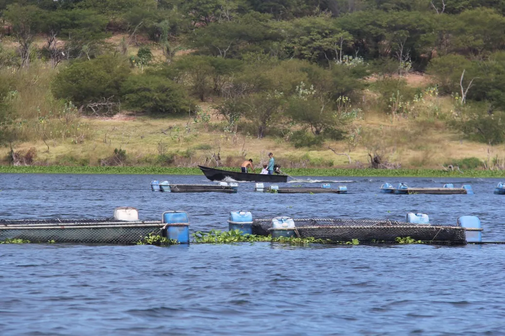As chuvas têm sido as principais responsáveis pela garantia no aporte do Castanhão e em outros reservatórios cearenses
