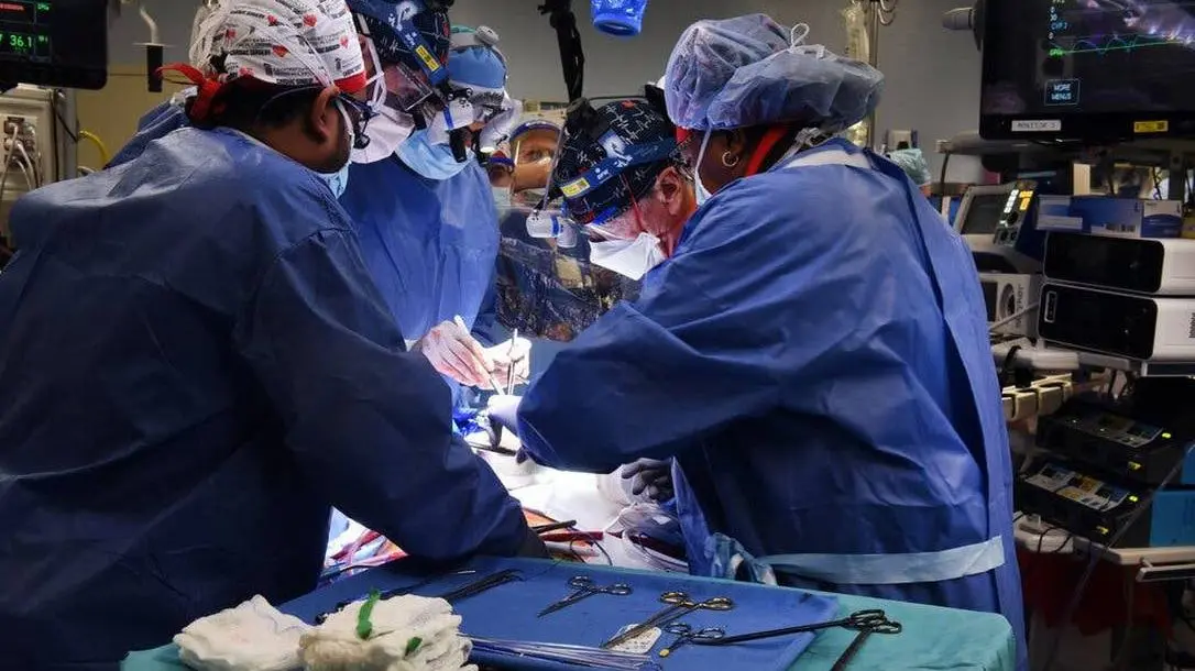 Imagem da notícia: Coração de porco transplantado em homem possuía vírus suíno, relata cirurgião