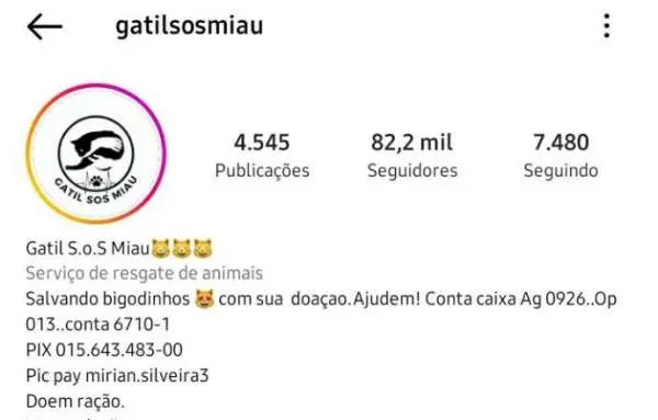 capa da noticia