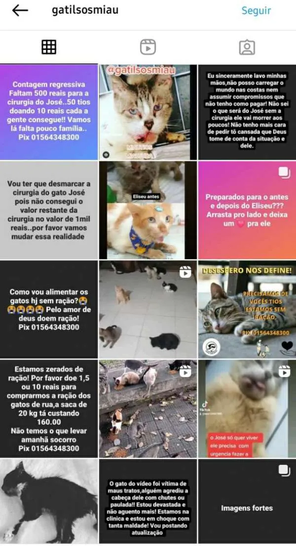 Perfil era usado para aplicar golpes
