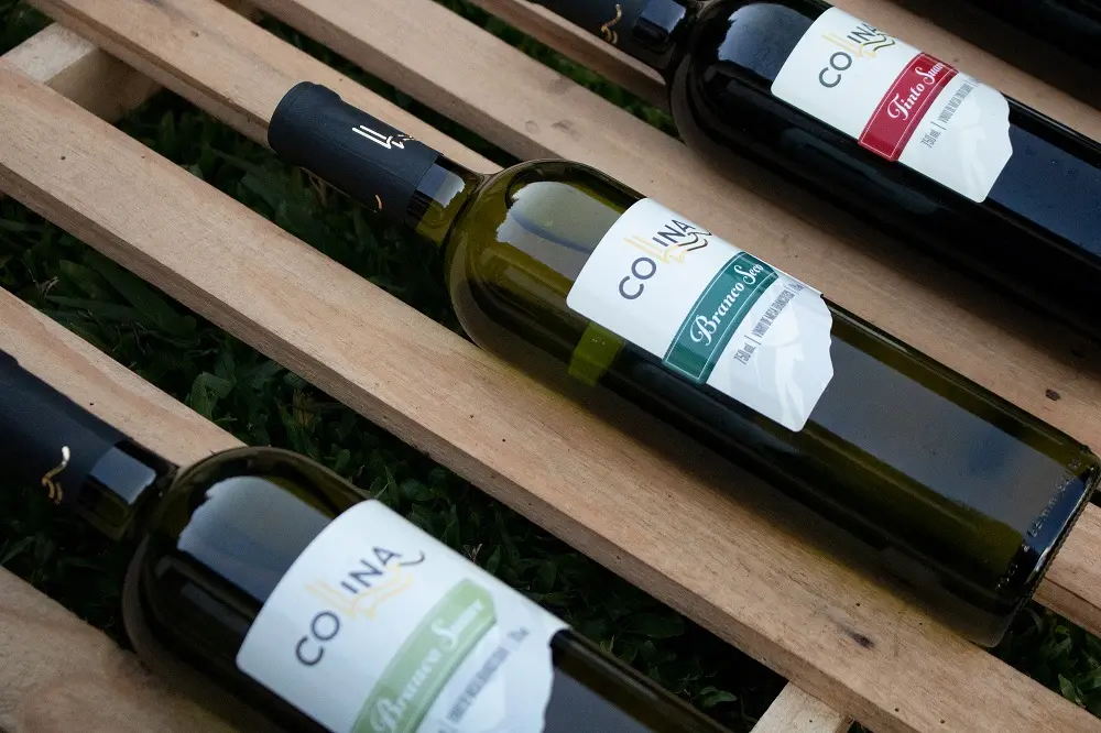 Imagem da notícia: Confira dicas de vinhos para o Dia dos Namorados 