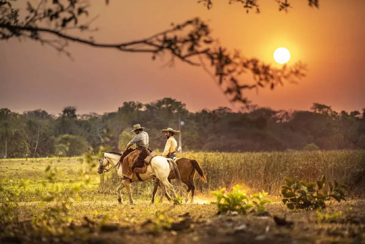 Imagem da notícia: Novela 'Pantanal' é mais assistida do que a série de maior audiência dos Estados Unidos, diz site