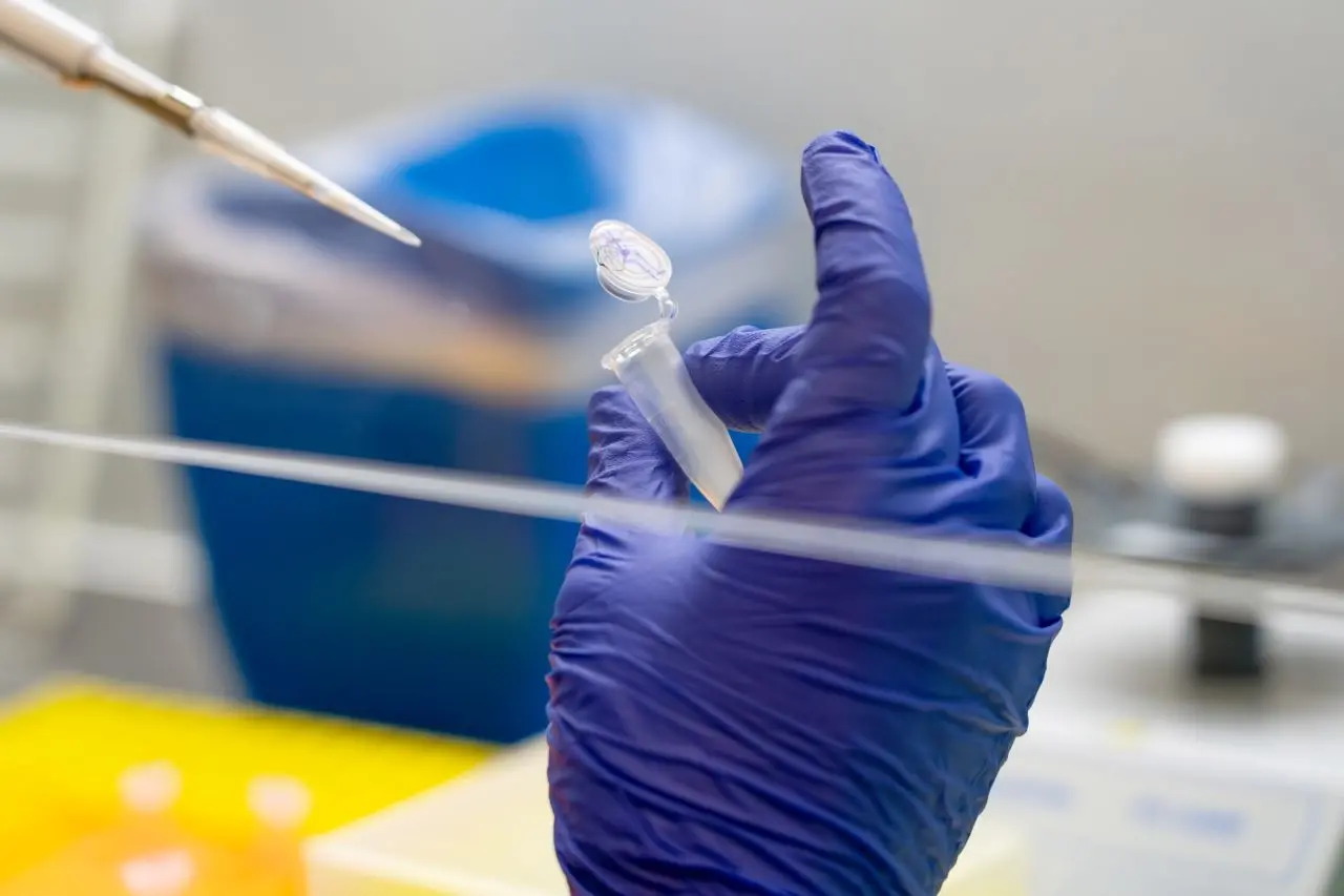 capa da noticia