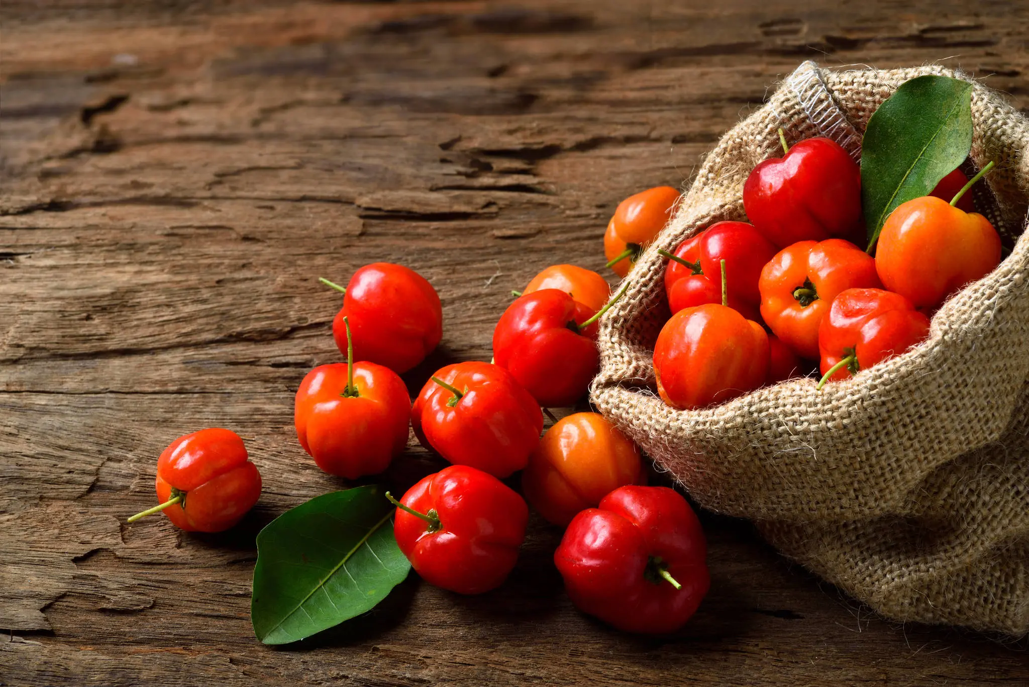Imagem da notícia: Acerola: veja benefícios, como plantar e como fazer suco 