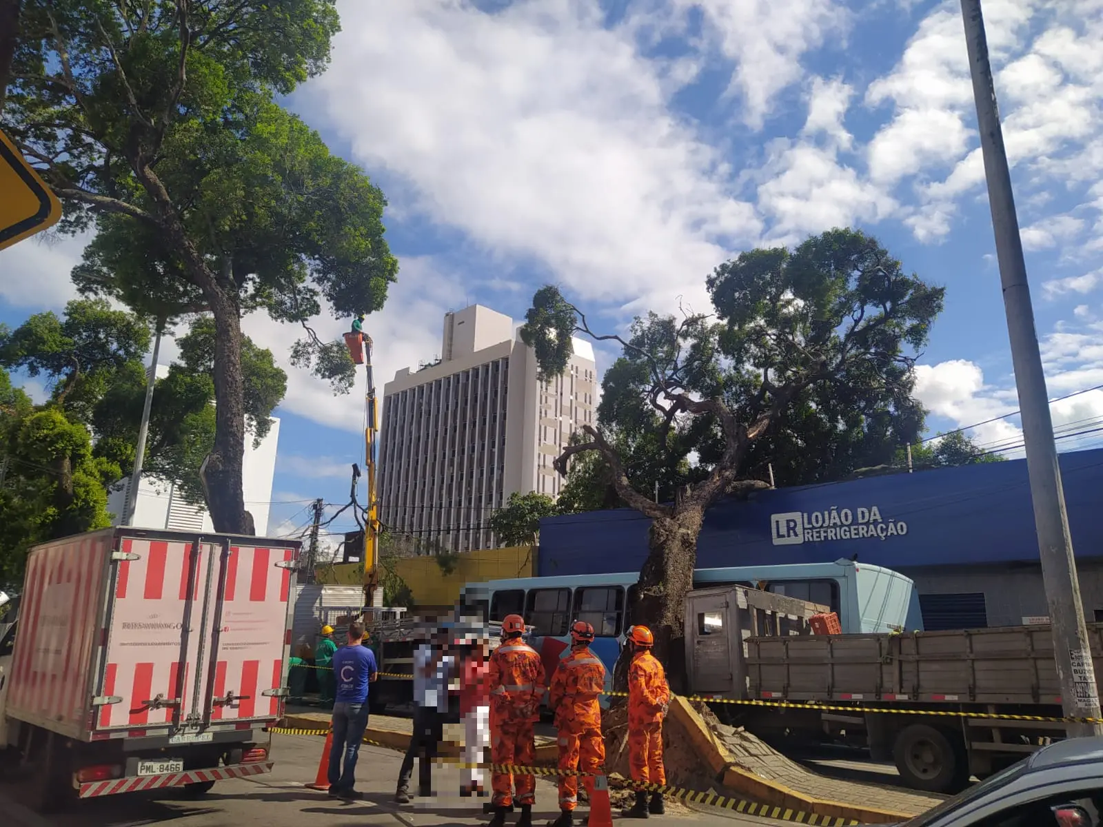 Imagem da notícia: Árvore de grande porte cai sobre caminhão, ônibus e atinge loja na Av. Duque de Caxias, na Capital