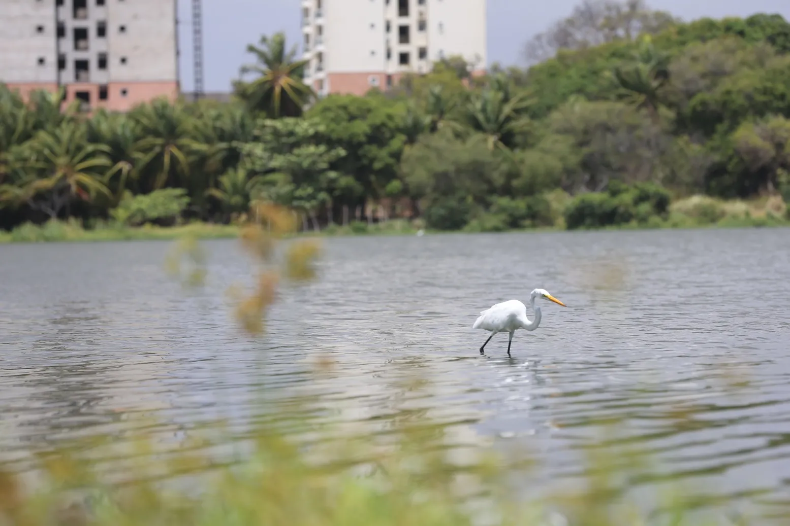 A Lagoa da Mraponga é um dos cartões-postais do bairro com mesmo nome.