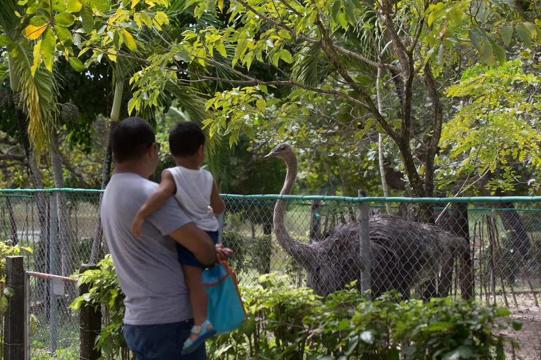 No Passaré, fica localizado o Zoológico Municipal Sargento Prata.