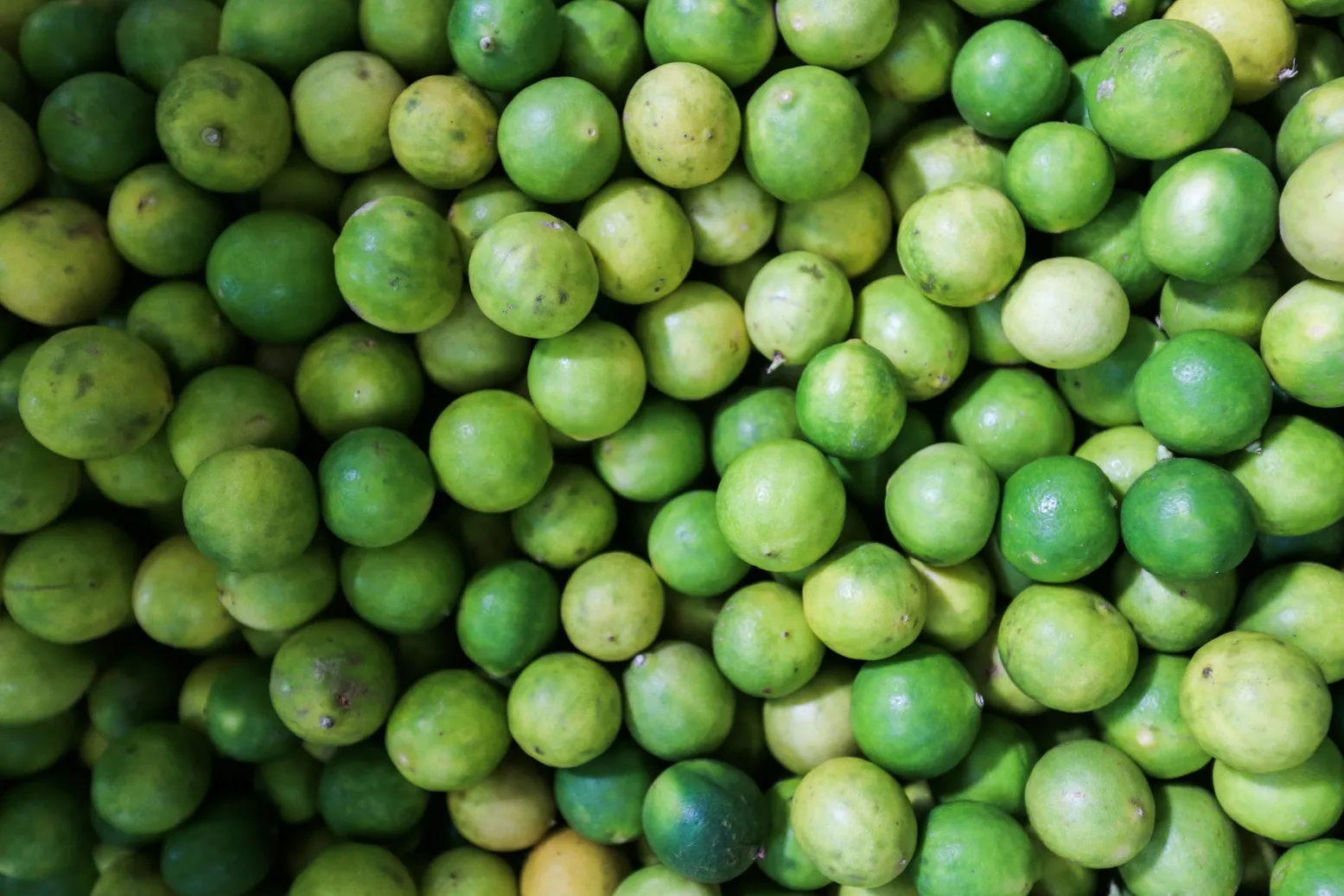 Chá da casca do limão é hábito cultural cearense como forma de eliminar toxinas.