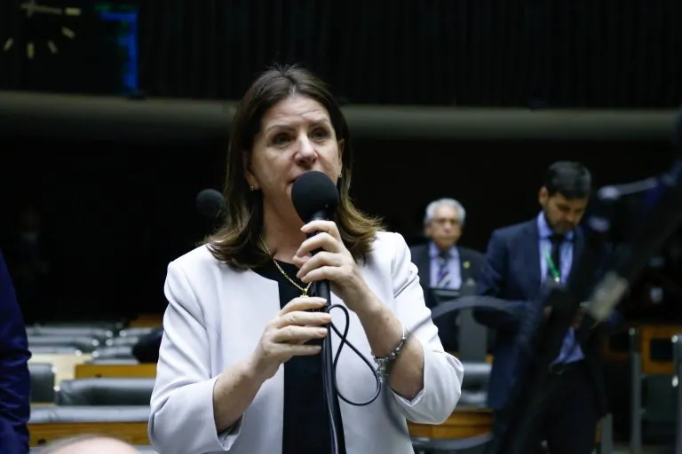 Deputada Carmen Zanotto (Cidadania-SC) é a relatora da proposta