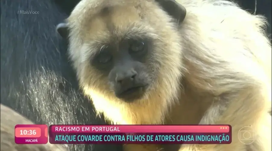 capa da noticia