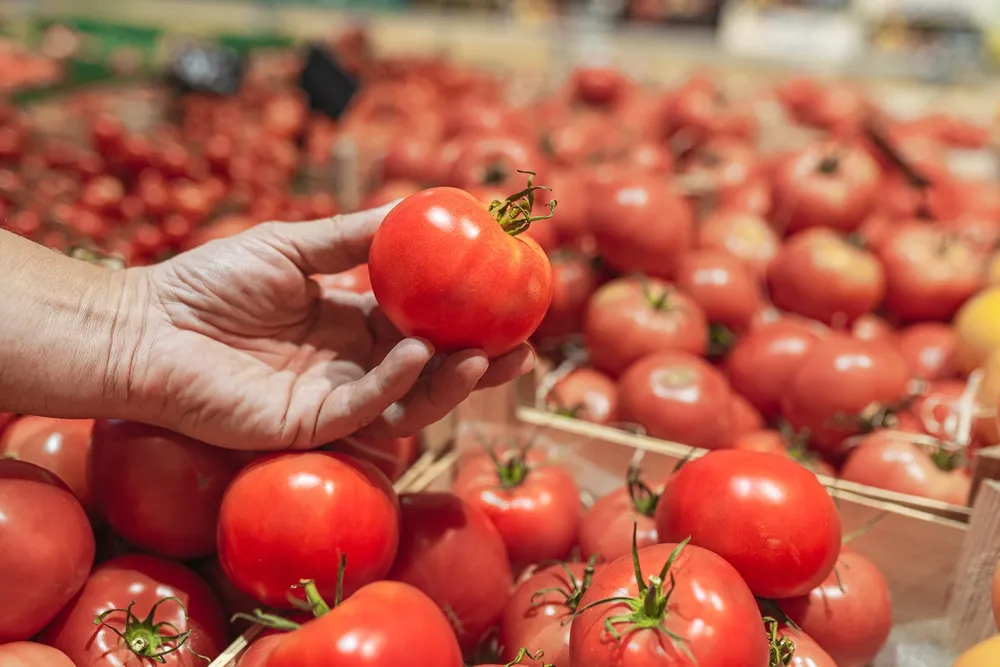 O preço do tomate sofre variação de 157,3% na Capital.