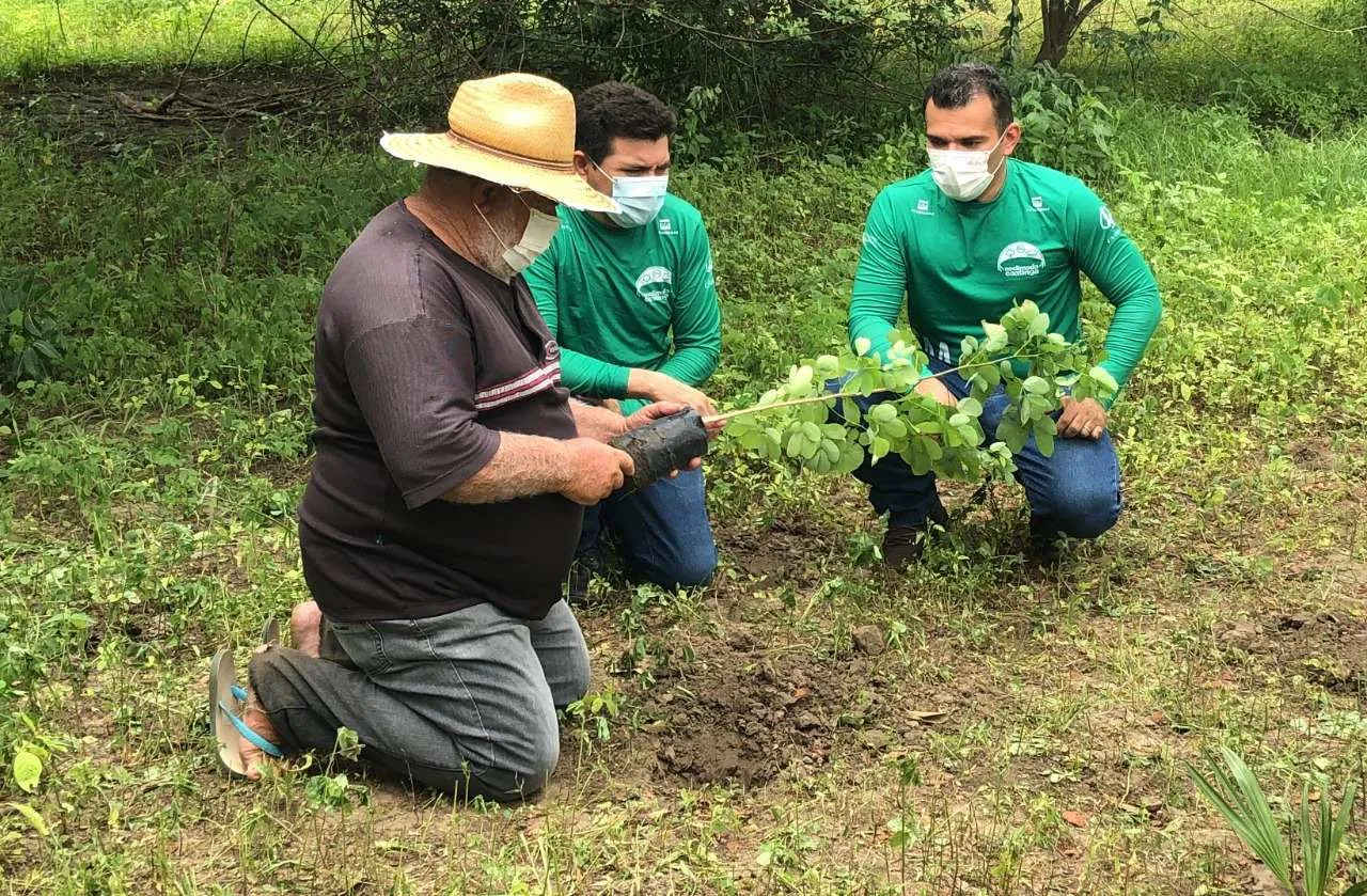 O grande sonho de Seu Raimundo é conseguir reflorestar todos os 18 hectares de sua propriedade