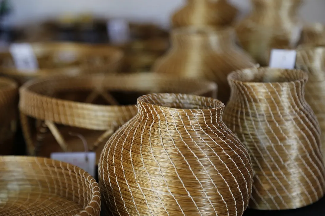 Capim Dourado é uma planta exclusiva do Tocantins, usada no artesanato do Jalapão