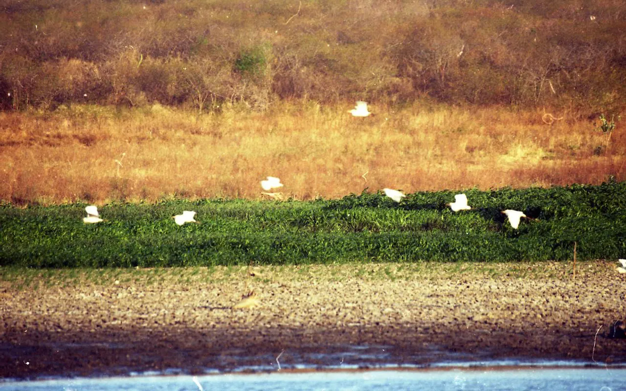 Paisagem natural se torna um dos símbolos que unem a população numa identidade. Na foto, Sítios Novos.