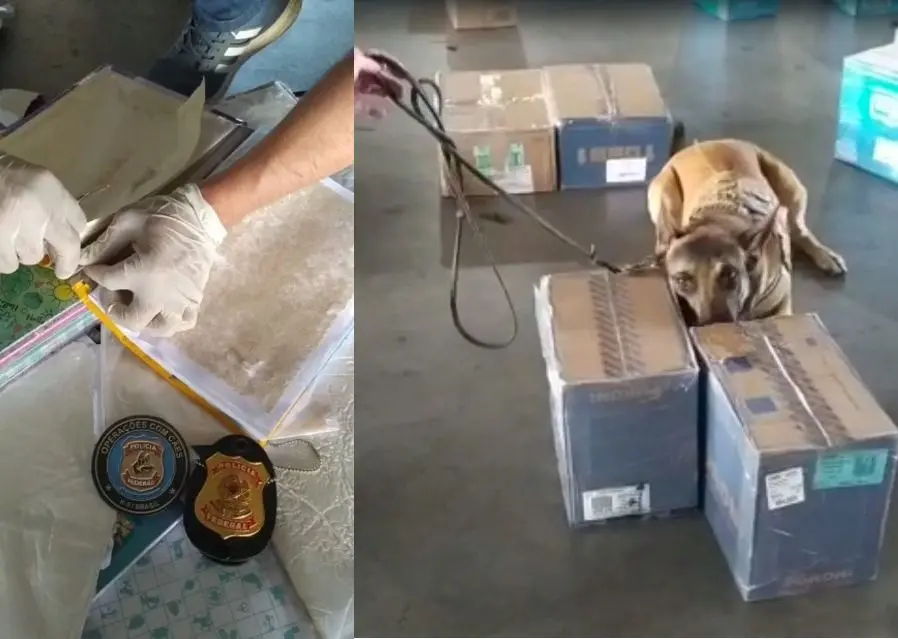 Imagem da notícia: Pelo segundo dia seguido, PF apreende cocaína em carga no Aeroporto de Fortaleza