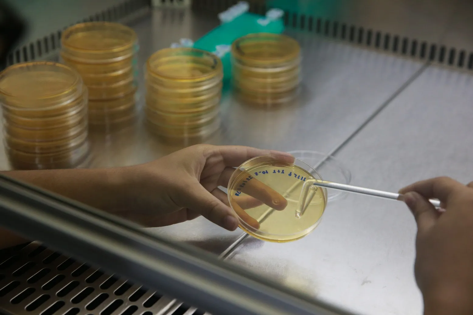 Estudos com insumos de laboratórios tendem a sofrer com a falta de recursos financeiros.